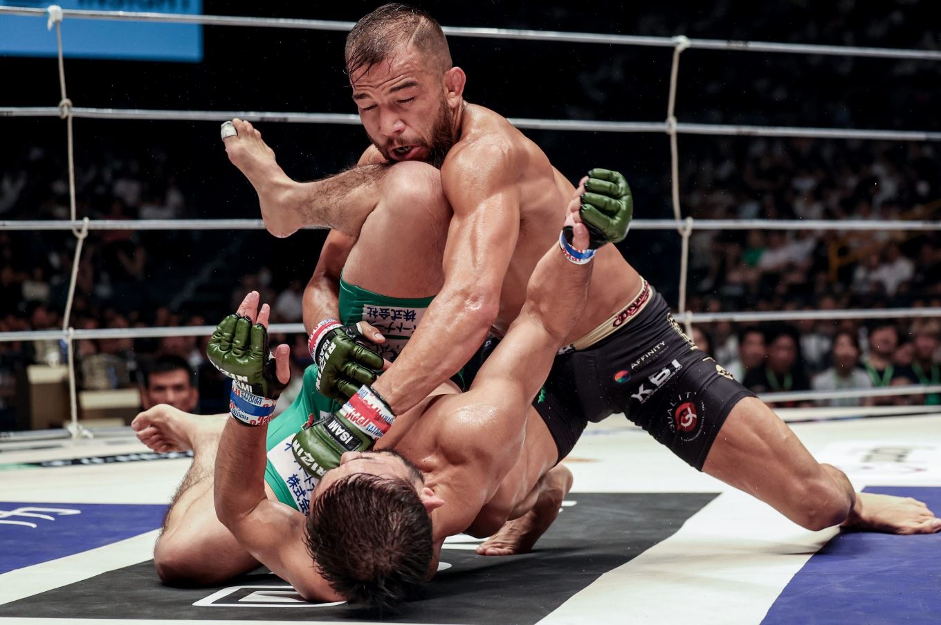 How Discipline and Flow Shape the Soul of Martial Arts