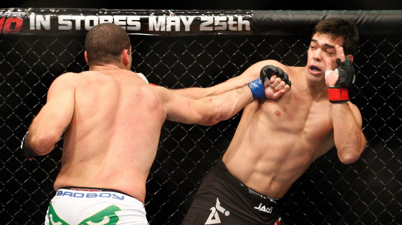 Understanding How the Ancient Principles of Respect and Discipline Continue to Guide Modern Fighters