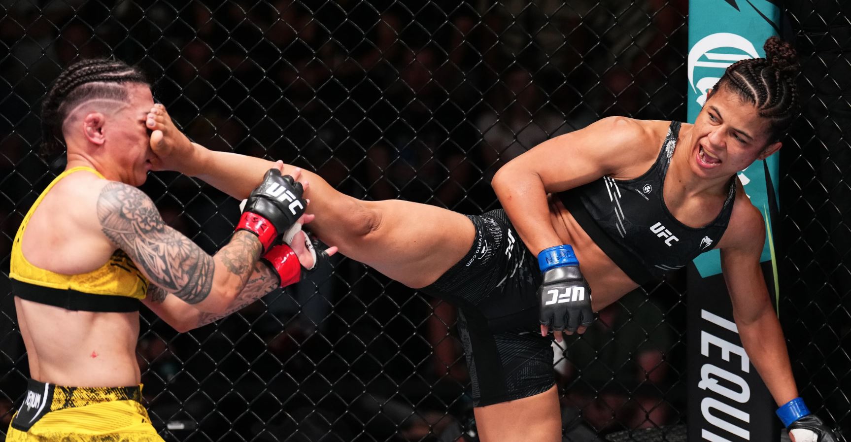 How Centuries of Tradition Found a New Home in the World of Mixed Martial Arts